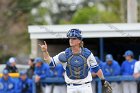 Baseball vs Babson  Wheaton College Baseball vs Babson during NEWMAC Championship Tournament. - (Photo by Keith Nordstrom) : Wheaton, baseball, NEWMAC